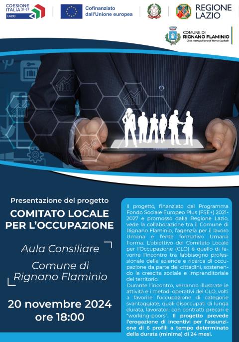 Comitato locale per l'occupazione