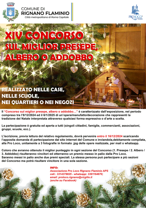 concorso presepe 2024