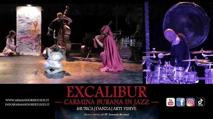 Armando Bertozzi in concerto
