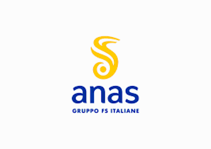 logo anas